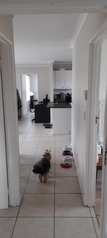 To Let 3 Bedroom Property for Rent in Sunningdale Western Cape